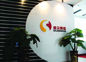 盛元网络科技图册 探索前沿网络技术的视觉盛宴