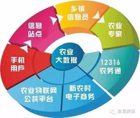 未来三年，中国农业即将步入大数据时代